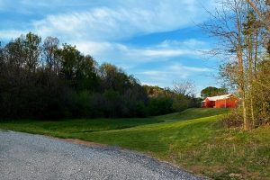 indigo sky over a rich green field with a red modern farmhouse on a small hill on the right