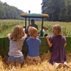 kids on the back of an old fashioned haybuggy