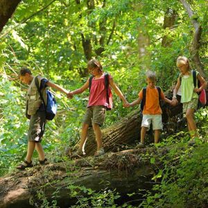 kids holding hands and walking on a log