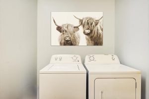 washer and dryer in an alcove with a poster of cows