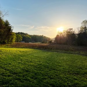 golden sun sets over a deep green pasture