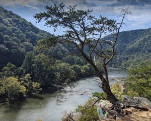 standing on top of paint rock and looking at the french broad river below