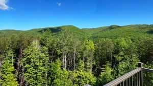 a bright day overlooking mountains covered with bright green forest